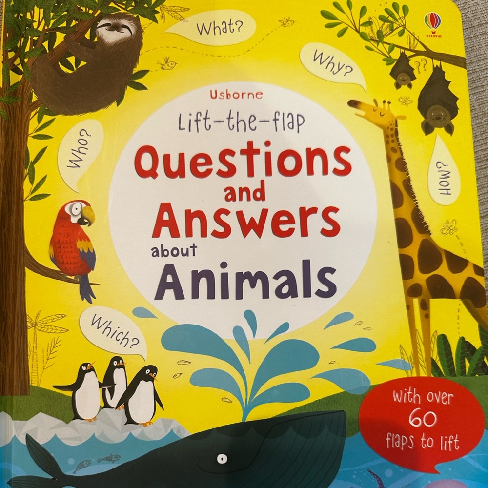 Lift the flap Q& A about animals